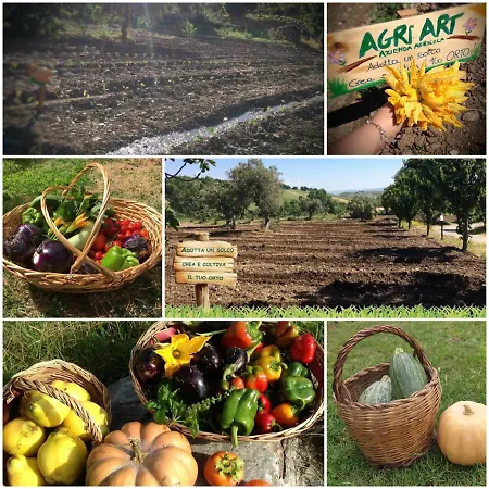 Agri Art San Benedetto Ullano