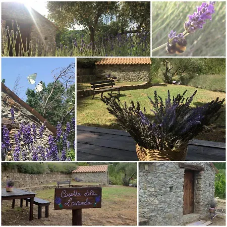 Agri Art San Benedetto Ullano