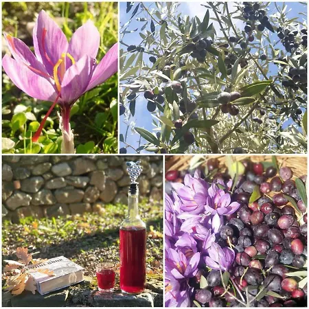 Agri Art Κατάλυμα σε φάρμα *