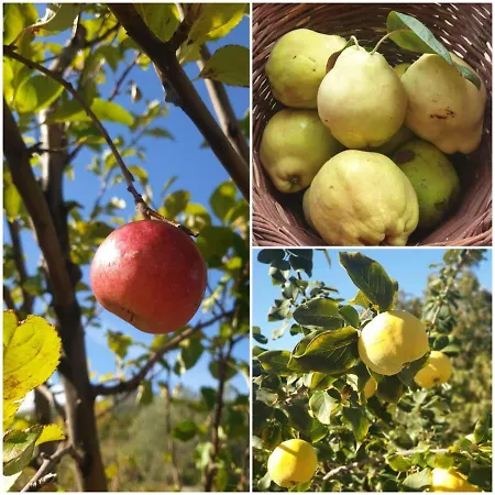 Agri Art Κατάλυμα σε φάρμα