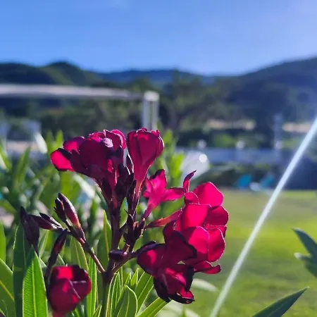 Farmház Agri Art San Benedetto Ullano