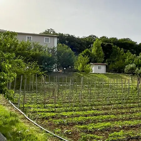 Κατάλυμα σε φάρμα Agri Art San Benedetto Ullano
