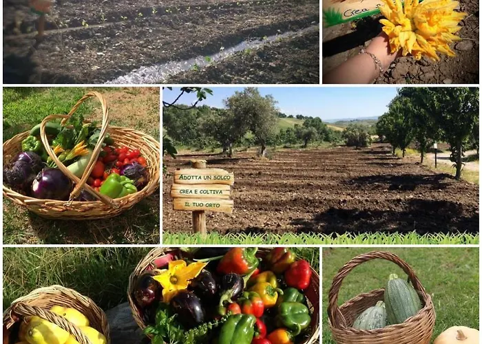 Agri Art San Benedetto Ullano