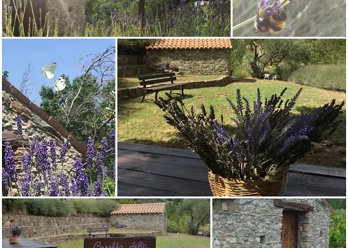 Agri Art San Benedetto Ullano