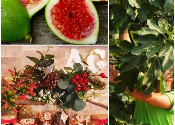 Agri Art San Benedetto Ullano