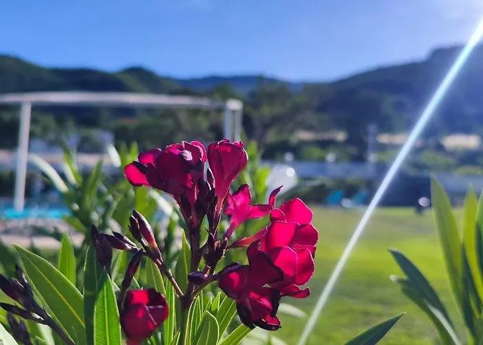 Alloggio per agriturismo Agri Art San Benedetto Ullano