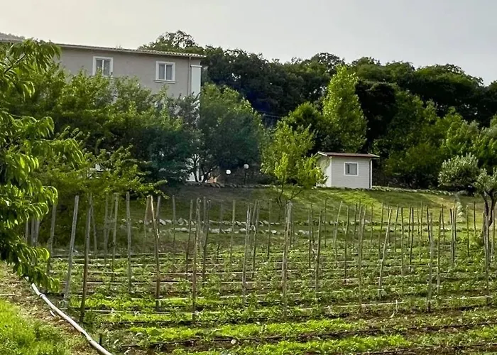Alloggio per agriturismo Agri Art San Benedetto Ullano